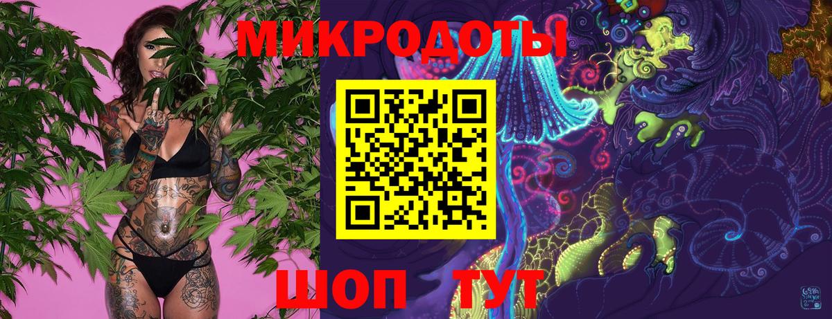 Псилоцибиновые грибы GOLDEN TEACHER  продажа наркотиков  Гусев  Вход с VPN 